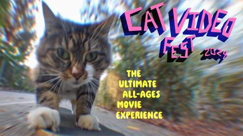 Cat Video Fest